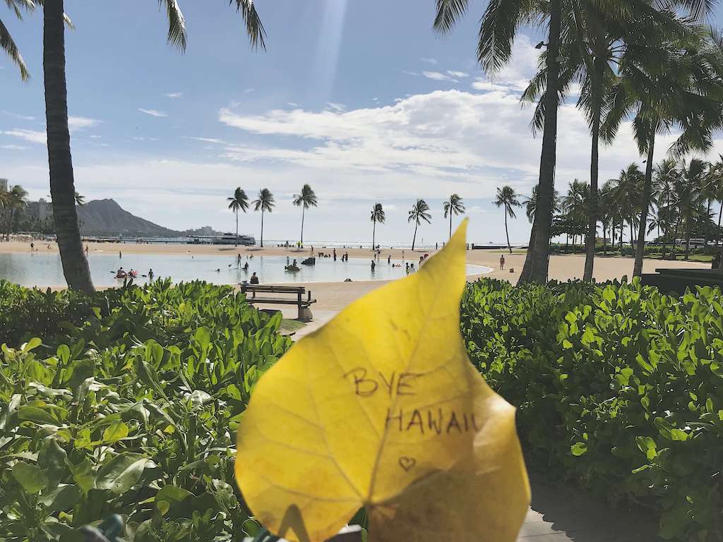 Hawaii Facetten in Pink Anna Annaway Travel Reisen Travelblog 30